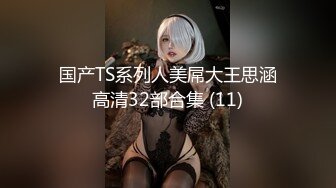 国产TS系列人美屌大王思涵高清32部合集 (11)