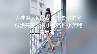 大神潜入KTV女厕全景偷拍多位漂亮的公主小妹各种小美鲍应有尽有 (3 