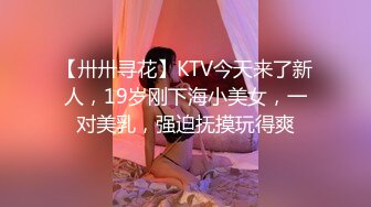 【卅卅寻花】KTV今天来了新人，19岁刚下海小美女，一对美乳，强迫抚摸玩得爽