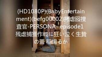 (HD1080P)(BabyEntertainment)(befg00002)拷虐囮捜査官-PERSONA- episode1 残虐捕獲作戦に狂い泣く生贄の蕾 稲場るか