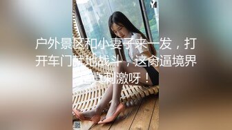 户外景区和小妻子来一发，打开车门就地战斗，这肏逼境界是真刺激呀！